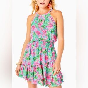 Lilly Pulitzer Pamelyn Lileeze Dress size 8
